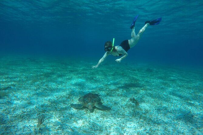 Shared Sky Snorkeling in Cozumel - Why This Tour Represents Good Value