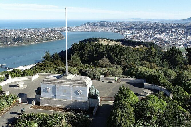 Shared Small Group Dunedin City and Peninsula Scenery Day Tour - What Makes This Tour Stand Out