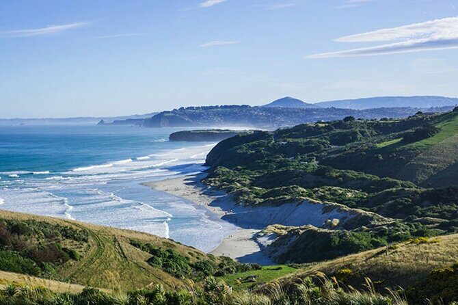 Shared Small Group Dunedin City and Peninsula Scenery Day Tour - The Sum Up
