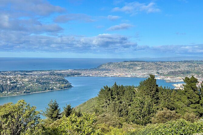 Shared Small Group Dunedin City and Peninsula Scenery Day Tour - FAQ