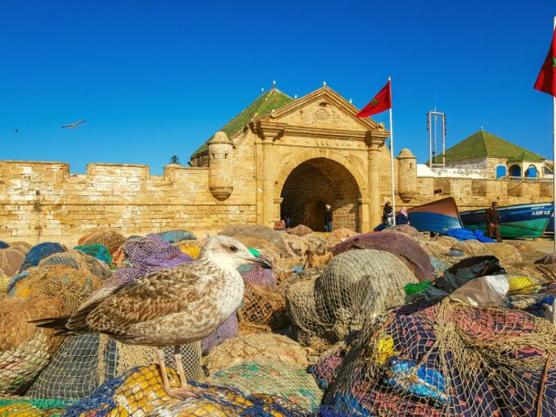 Shared Small Group Excursion to Essaouira Highlights - Suitability