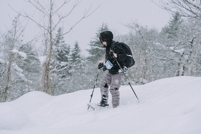 Shared Snowshoe Hiking Tour in Semboku - Health and Accessibility Guidelines