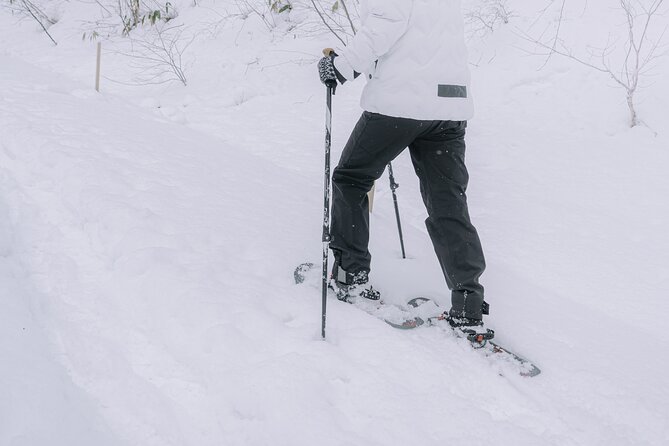 Shared Snowshoe Hiking Tour in Semboku - Experience Highlights