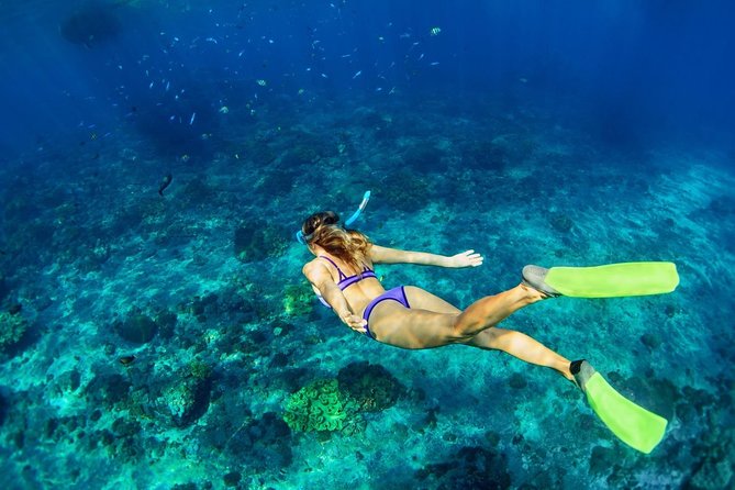 Shared Swim and Snorkel Tour in Rhodes - Inclusions of the Tour