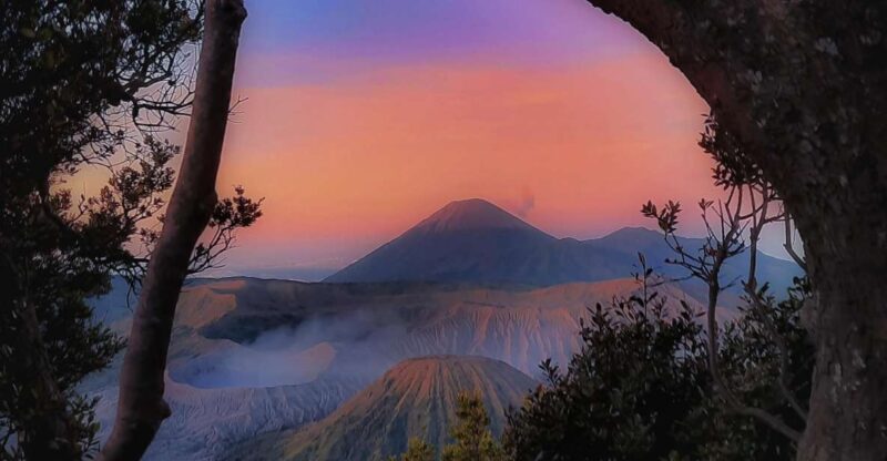 Shared Tour Bromo Start Cemorolawang Probolinggo - Pricing and Inclusions
