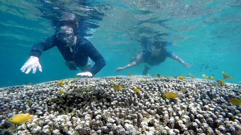 Shared Tour: Moalboal Snorkeling Adventure & Canyoneering - Included Amenities
