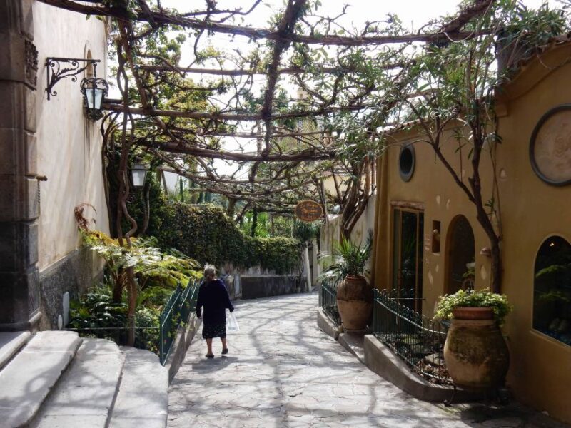 Shared Tour of Pompeii & Positano - Key Points