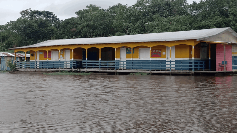 Shared Tour Speedboat Ride on the Rio Negro - Amazon Safari Highlights