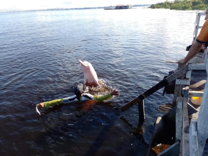 Shared Tour Speedboat Ride on the Rio Negro - Important Considerations and Preparations