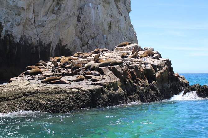 Shared Tour to the Arch of Cabo San Lucas - Booking and Policies