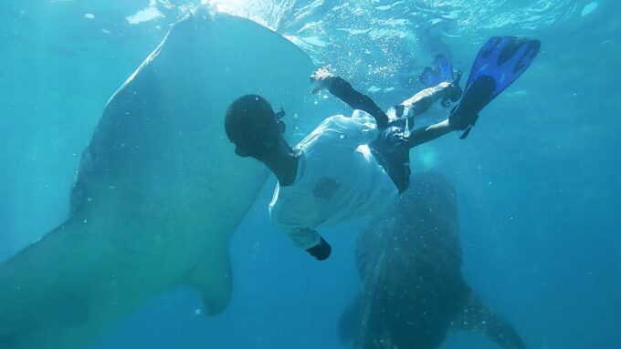 Shared Tour : Whale Shark Watching and Kawasan Canyoneering - Frequently Asked Questions