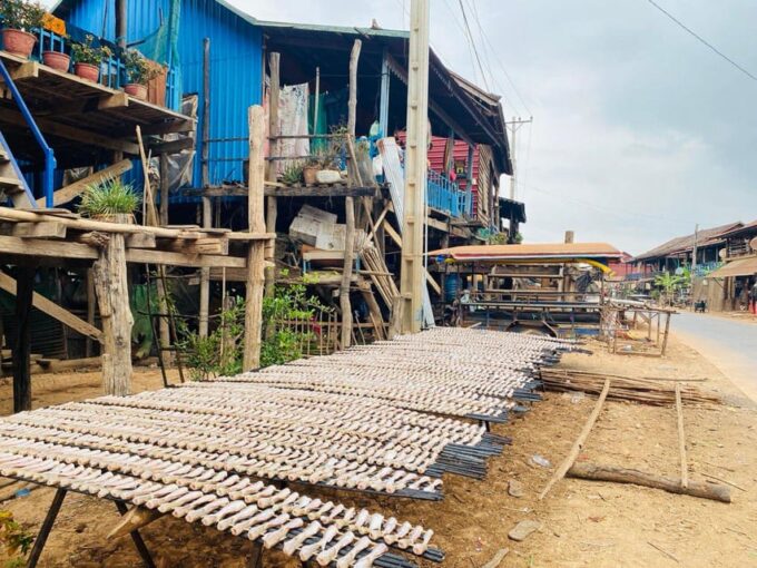 Shared Tours to Sunset at Kompong Khleang Floating Village - Pickup and Dropoff