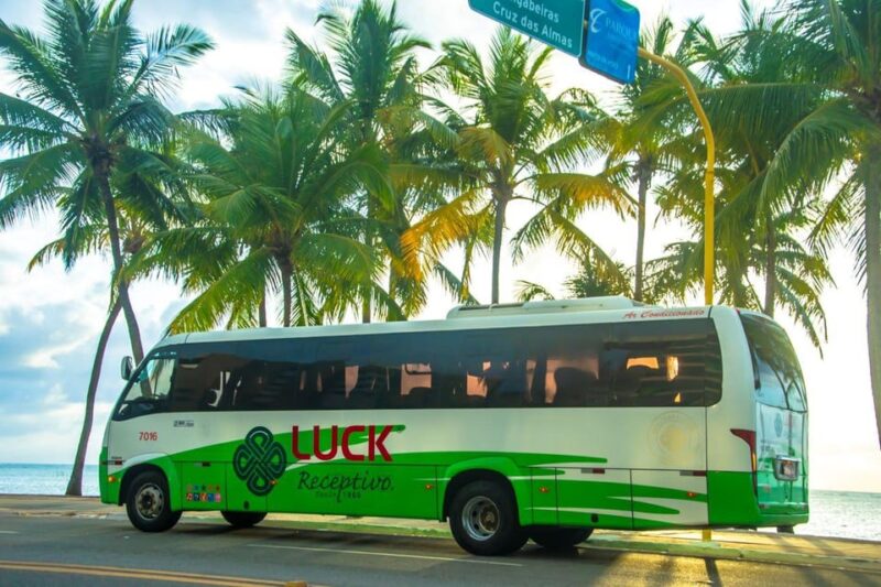 Shared Transfer From Maceio to São Miguel Dos Milagres - Shared One-Way Transfer