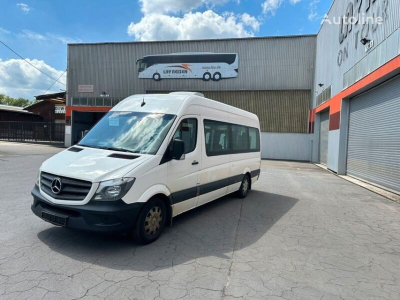 SHARED TRANSFER: FROM TEMUCO AIRPORT TO PUCON - Traveler Suitability