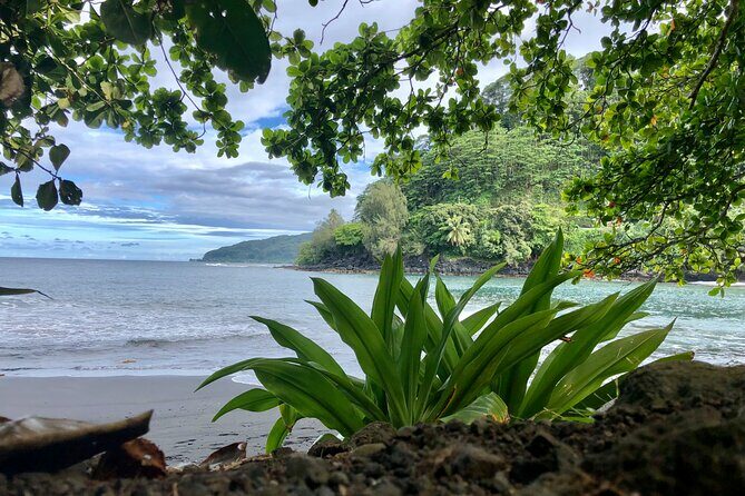 Shared Transfer: Hotel or Cruise Port to Tahiti Airport - Key Points