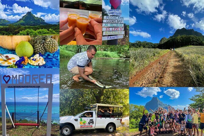 Shared Transfer: Hotel or Cruise Port to Tahiti Airport - Why Travelers Love This Service