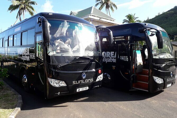 Shared Transfer : Hotel to Moorea Airport (or) Pier - Key Points