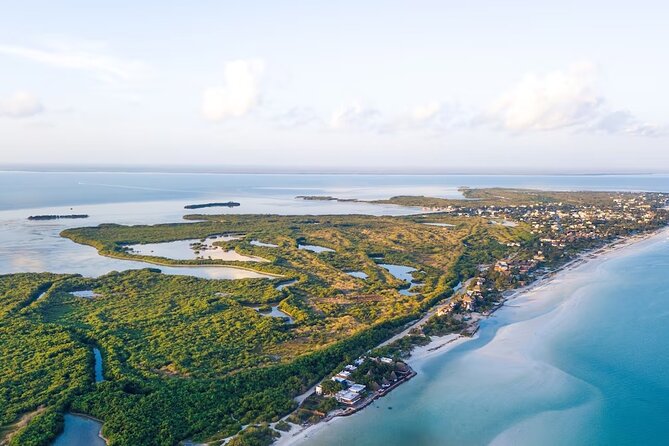 Shared Transfer to Cancun Downtown or Hotel Zone - Frequently Asked Questions