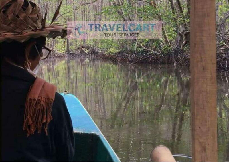 Shared Underground River with Mangrove Paddle Boat & LUNCH - Detailed Breakdown of the Tour Experience