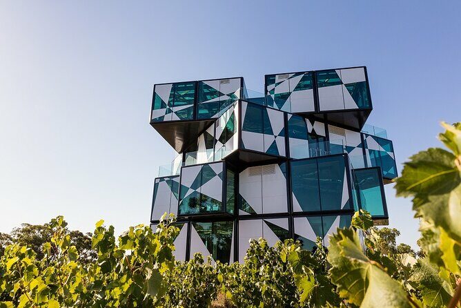 Shared Wine Taste Experience The Dead Arm Distinction - The Sum Up