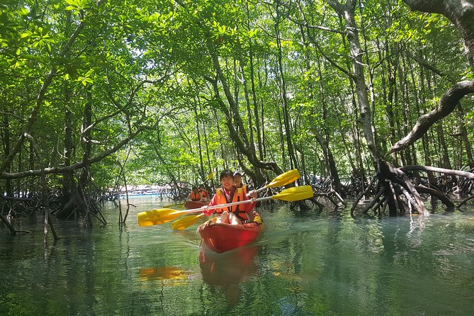 Sharing Basis Full Day Kilim Mangrove Kayaking Tour From Langkawi - Included Features