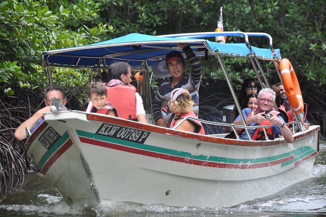Sharing Basis Half-Day Mangrove Safari Boat Tour in Langkawi - Key Points