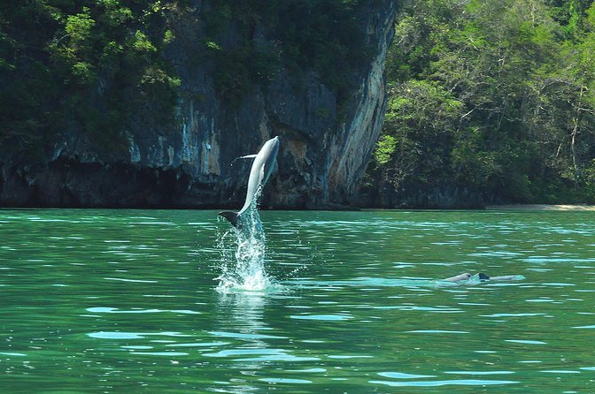 Sharing Basis Half-Day Mangrove Safari Boat Tour in Langkawi - Tour Highlights