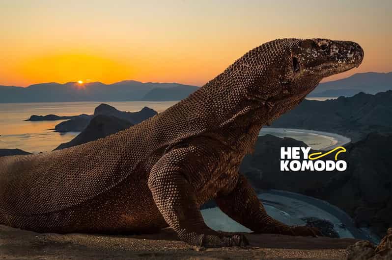 Sharing Half Day Sunset Komodo Tour With Speedboat - Itinerary Highlights