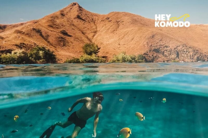 Sharing Half Day Sunset Komodo Tour With Speedboat - Included Services