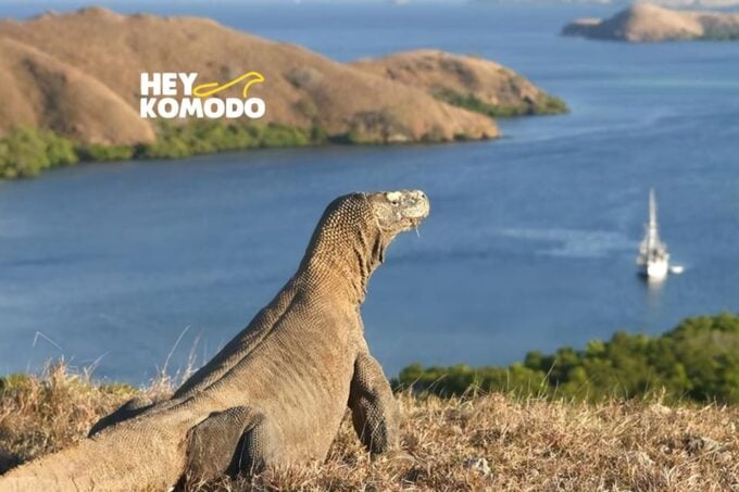 Sharing Half Day Sunset Komodo Tour With Speedboat - Important Information