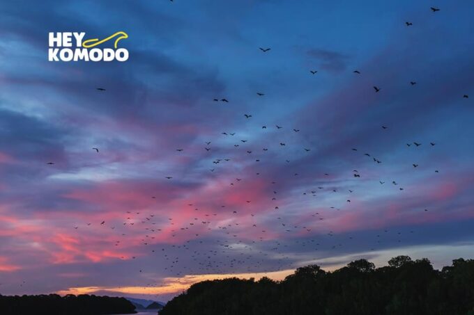 Sharing Half Day Sunset Komodo Tour With Speedboat - Booking Details