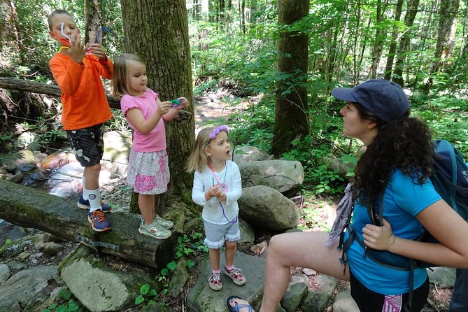 Sharing Nature With Children - Engaging in Outdoor Games and Activities