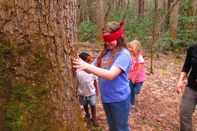 Sharing Nature With Children - Experiencing the Joys of Outdoor Adventure
