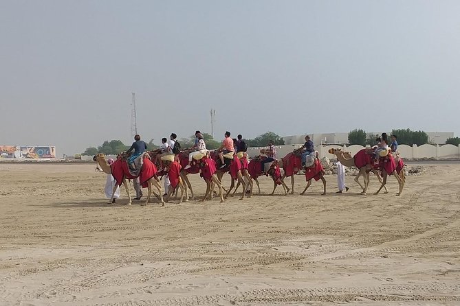 Sharing or Private Safari, Sand Boarding, Camel Ride, Inland Sea Quick Swim - Age Restrictions