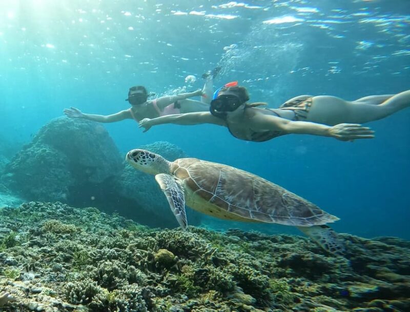 Sharing Snorkeling 3 Islands Visit Turtle Sanctuary - Important Information
