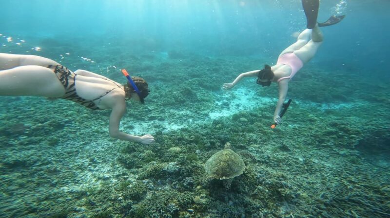 Sharing Snorkeling 3 Islands Visit Turtle Sanctuary - Booking and Availability