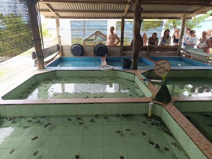Sharing Snorkeling 3 Islands Visit Turtle Sanctuary - Free Cancellation and Refund