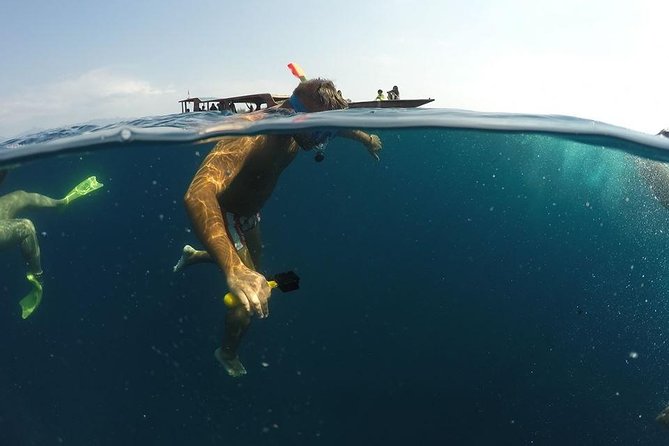 Sharing Snorkeling Trip Gili Islands Depart Lombok/Gili Trawangan - Inclusions and Pricing