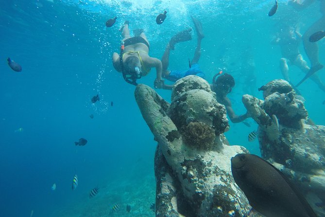 Sharing Snorkeling Trip Gili Islands Depart Lombok/Gili Trawangan - Reviews and Feedback
