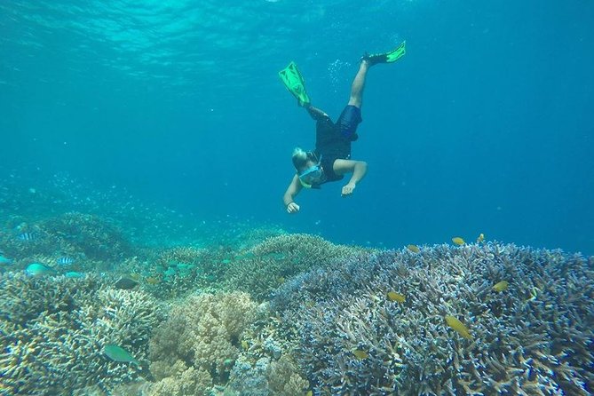 Sharing Snorkeling Trip Gili Islands Depart Lombok/Gili Trawangan - Exploring Gili Menos Waters