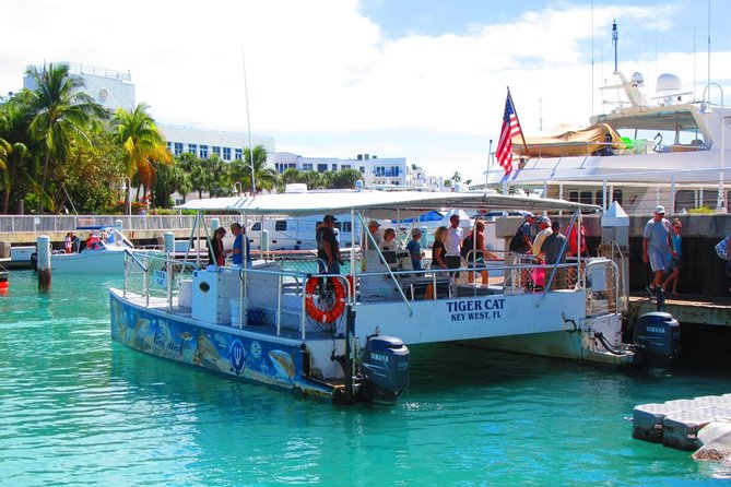 Shark and Wildlife Viewing Adventure in Key West - Eco-Friendly Tour