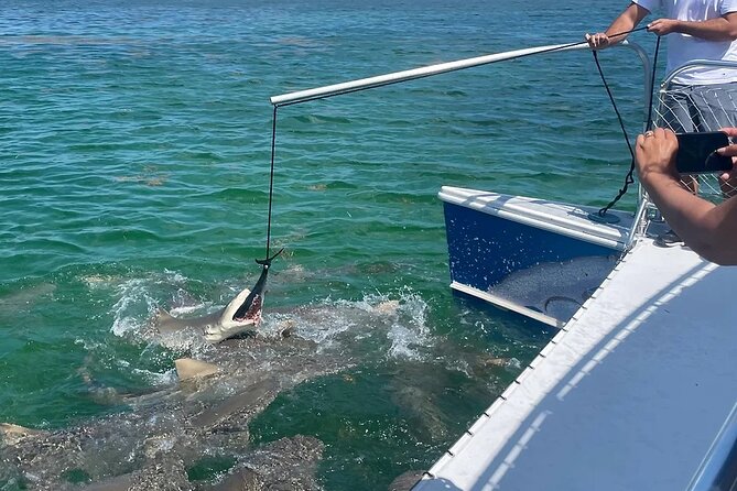 Shark and Wildlife Viewing Adventure in Key West - Marine Life Exploration