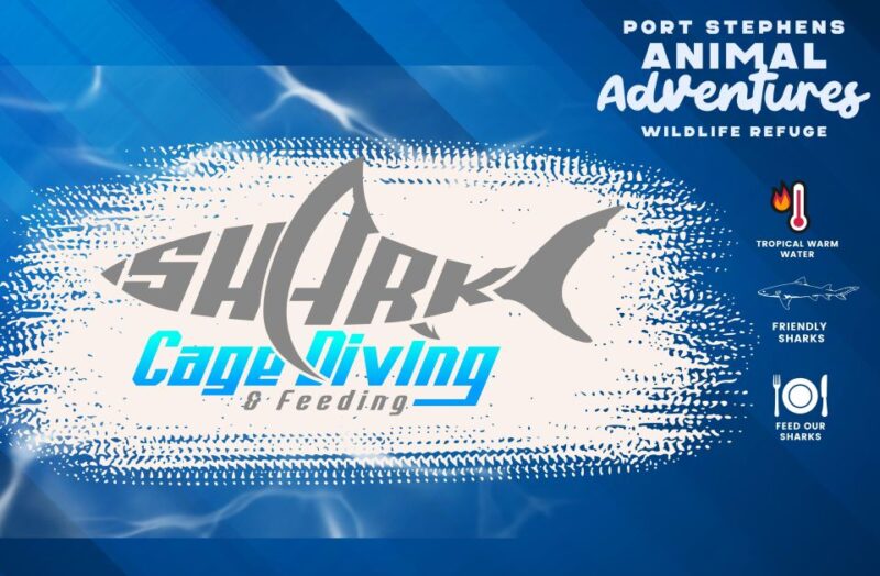 Shark Cage Dive Plus MEGA Ticket - Interacting With Marine Creatures
