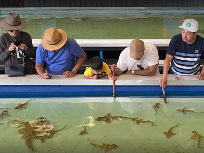 Shark Cage Dive Plus MEGA Ticket - Heated Shallow Pool