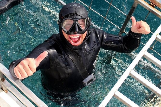 Shark Cage Diving and Viewing From Hermanus - Policies and Cancellations