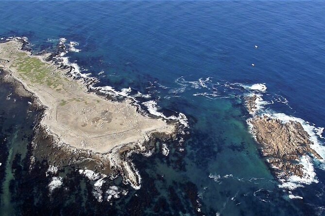 Shark Cage Diving and Viewing With Transport From Cape Town - Accessibility and Restrictions
