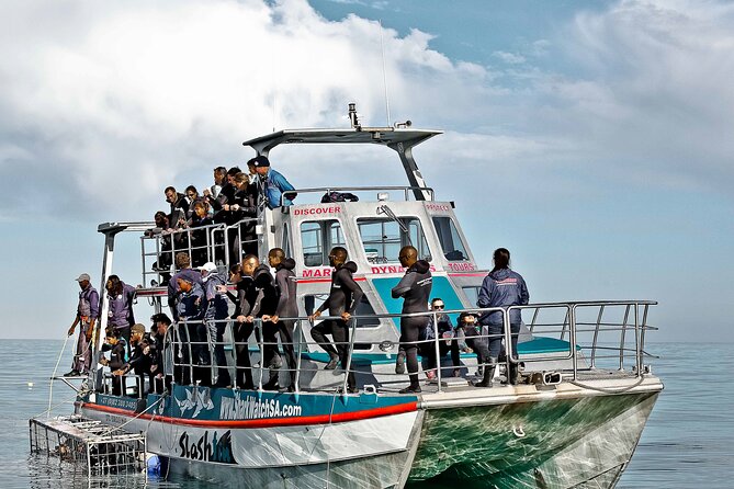 Shark Cage Diving and Viewing With Transport From Cape Town - Tour Capacity