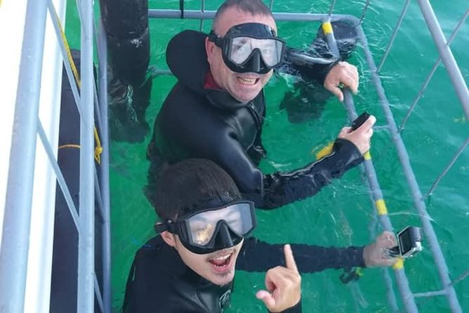 Shark Cage Diving - Viewing Surface Feeding Sharks