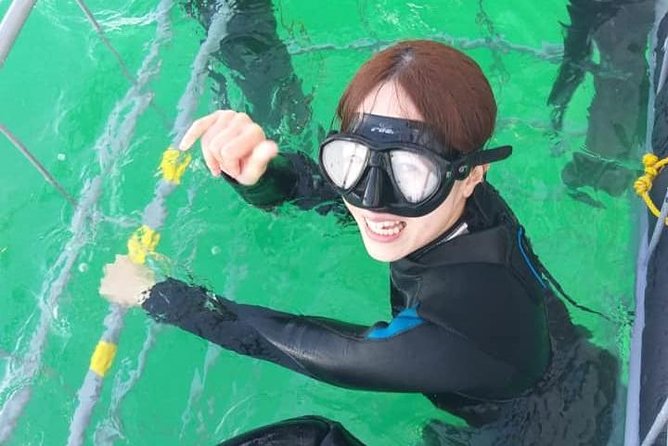 Shark Cage Diving - Educational Experience Priorities