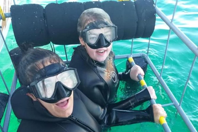 Shark Cage Diving - Meeting and Pickup Information